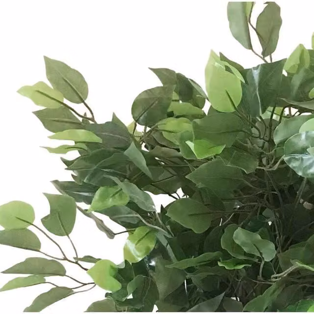 Leaf Realistic Natural Artificial Ficus Tree, Green, Height: 60 cm