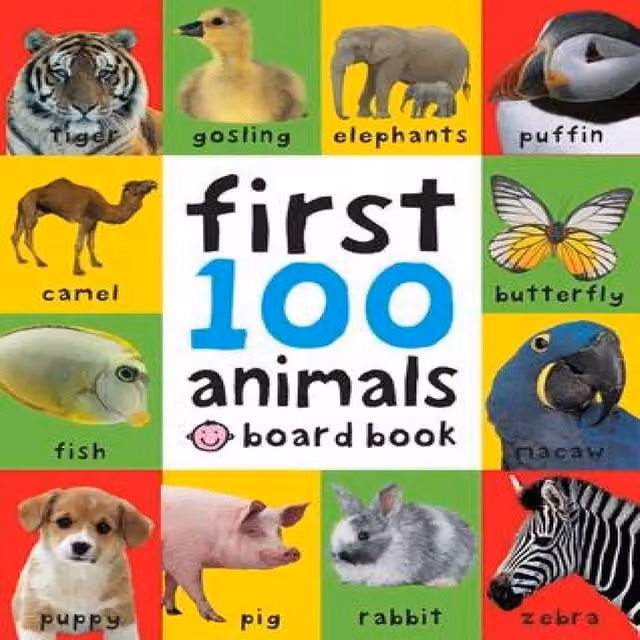 Priddy Books First 100 Animals Multicolour Cardboard Board Book