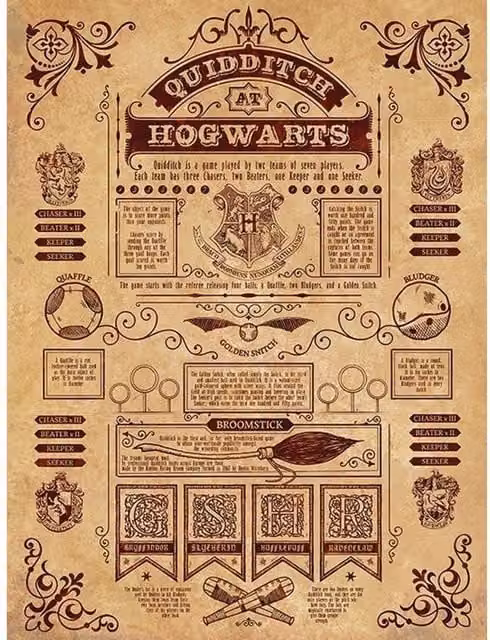 Harry Potter Quidditch At Hogwarts Framed Canvas Print in Brown