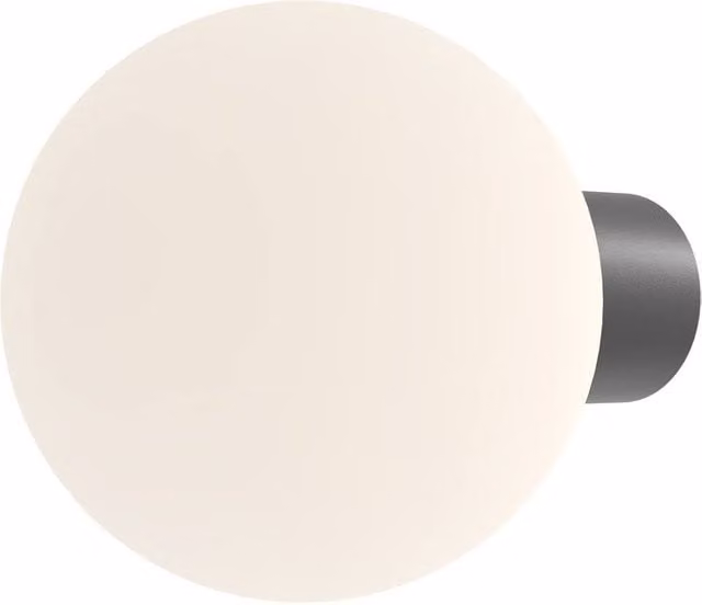 Netlighting Bold I Outdoor Globe Wall Lamp in Black with Transparent Glass Sphere and E27 Socket, IP54 Rated