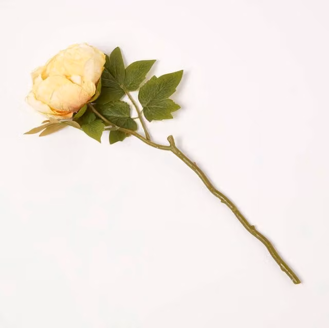 Homescapes Artificial Dried Peony Flower Stem in Yellow and Green, Height: 48 cm