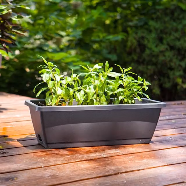 Livingandhome Set of 5 Grey Plastic Garden Planter Tubs for Herb, Vegetable and Ornamental Gardens