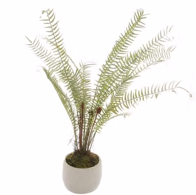 KDMD White Potted Green Boston Fern Realistic Artificial Tabletop Plant in Ceramic Stone Pot