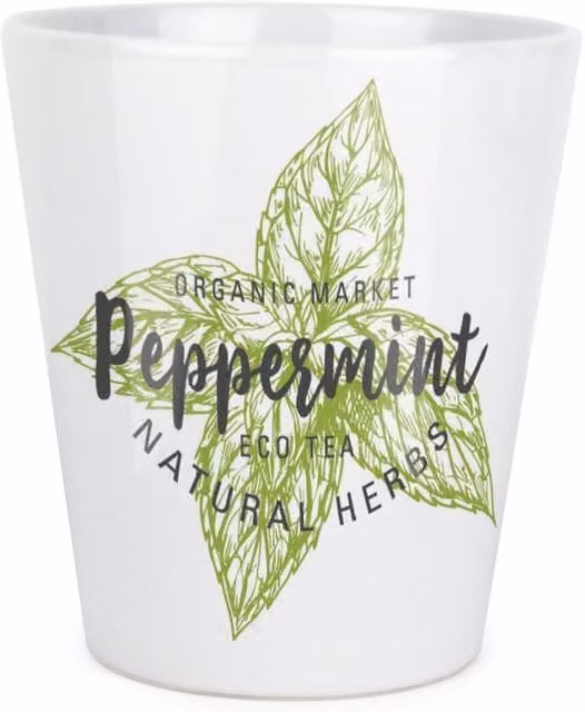 Purely Home Ceramic Plant Pot in Green, Black or White