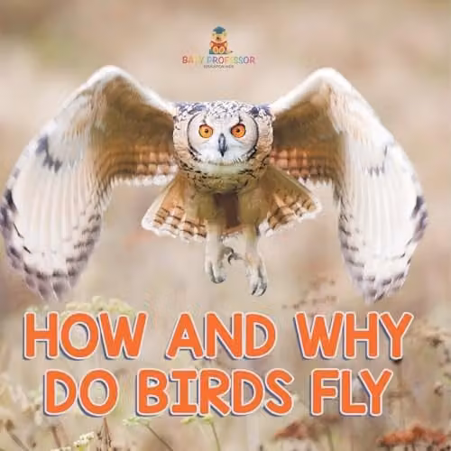 Baby Professor How and Why Do Birds Fly Book