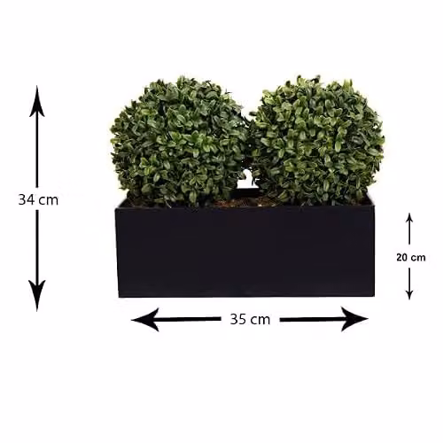 GreenBrokers Double Boxwood Topiary Balls in a Black Metal Tin Planter, 35 cm – 3