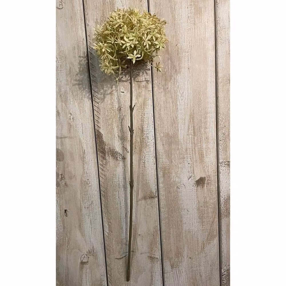 Lemon Pavilion Green and Beige Allium Single Stem Flower, Height: 63 cm – 2
