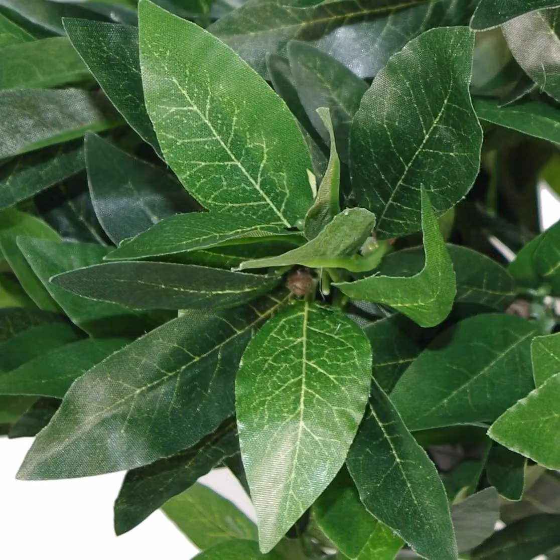 Leaf Pair of Green Artificial Bay Laurel Ball Topiary Trees with Twisted Stems, Height: 120 cm – 2