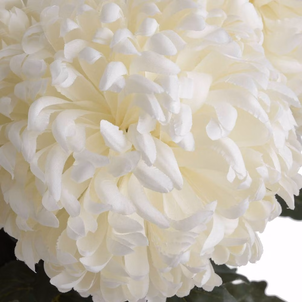 Wyld Haus Set of 3 Large White and Green Artificial Chrysanthemum Floral Stems – 2