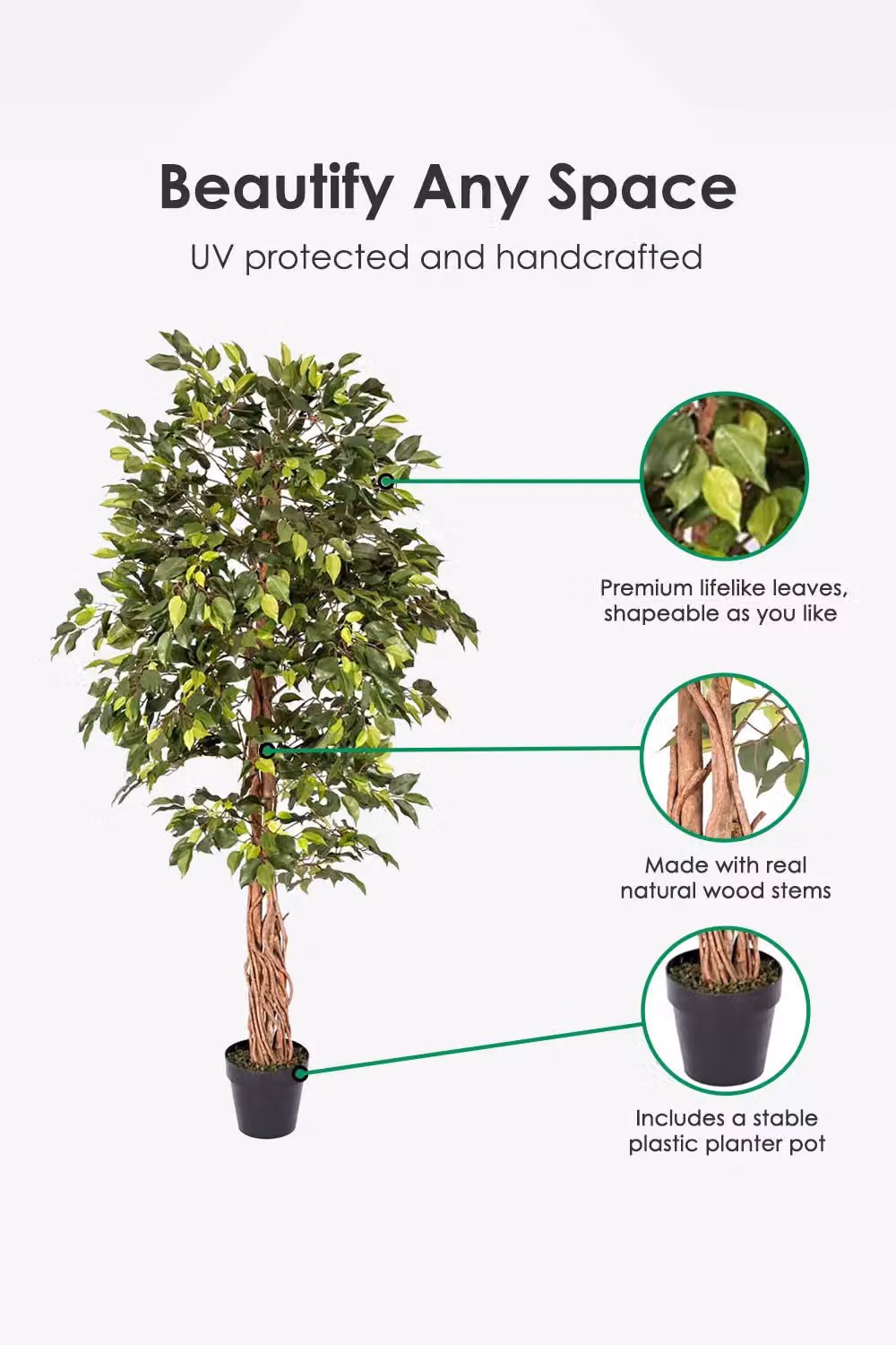 Homescapes Green Artificial Ficus Tree with Real Wood Trunk and Black Pot, Height: 182.88 cm – 2