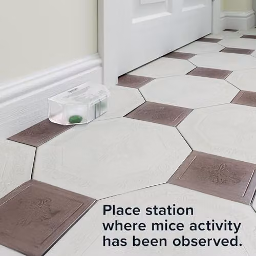 Rentokil Fast Action Mouse Killer Twin Pack - Ready-baited Indoor Rodent Bait Stations for Efficient Elimination of Mice, Pack of 2 – 5