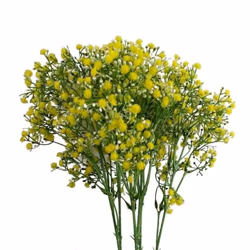 Yellow Gypsophila Leaf Design Artificial Flowers