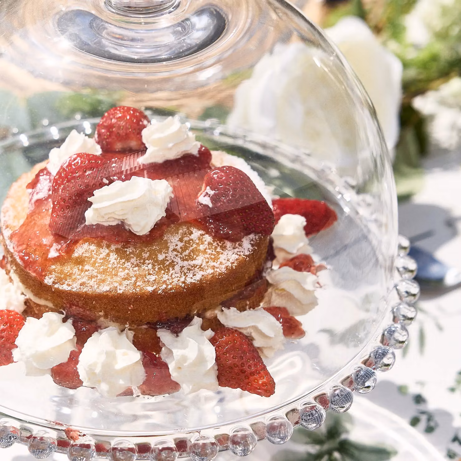 Dibor Bella Perle Glass Beaded Cake Stand with Dome in Clear – 5
