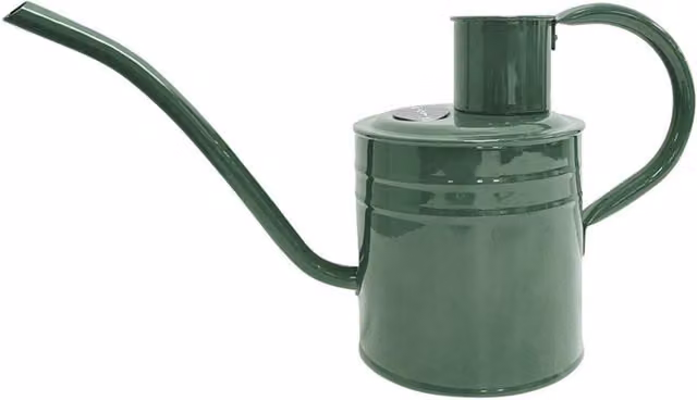 Kent & Stowe Green Metal Indoor Watering Can with Long Spout
