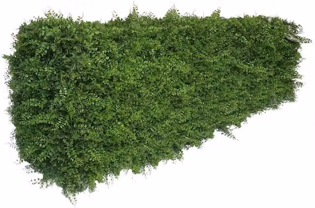 True Products Premium Freestanding Artificial Mixed Fern Hedge on a Metal Frame, Green, W/D/H: 158 x 33 x 56 cm