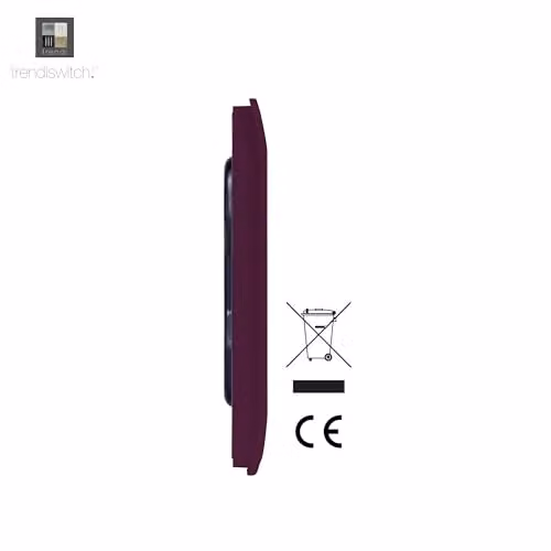 Trendi Switch Artistic Modern Glossy Decorative Double Wall Blanking Plate in Purple – 2