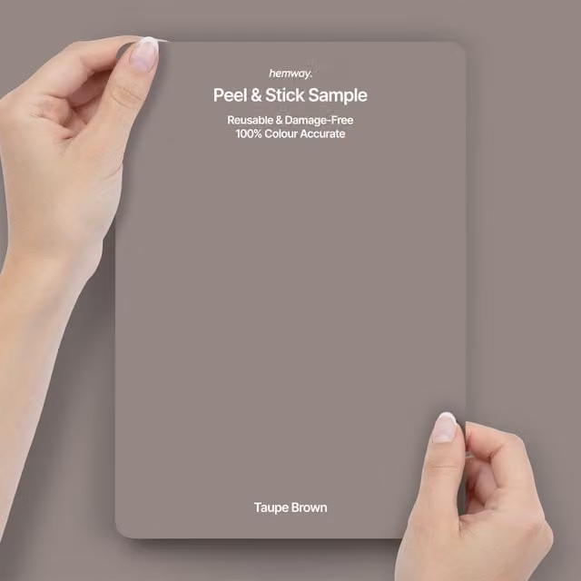 Hemway Interior Paint Sample in Taupe Brown, Peel and Stick Swatch