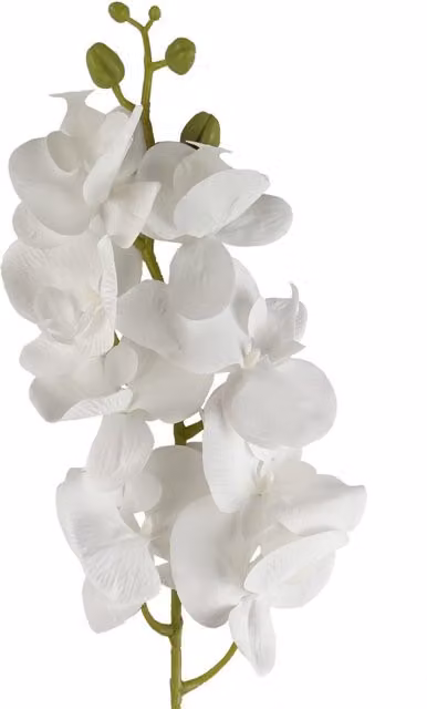Leaf Design White Artificial Orchid Flower Stem, 100 cm