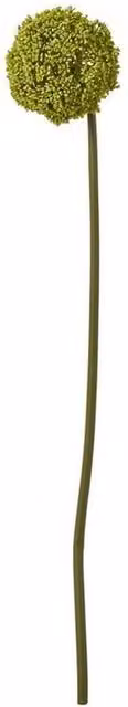 Lemon Pavilion Green Plastic Allium Single Stem Flower, Height: 75 cm