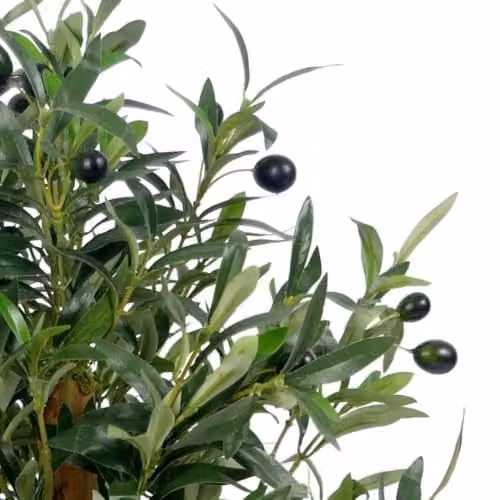 Leaf Design UK Realistic Artificial Green Olive Tree in a Black Plastic Pot, Height: 65 cm – 2