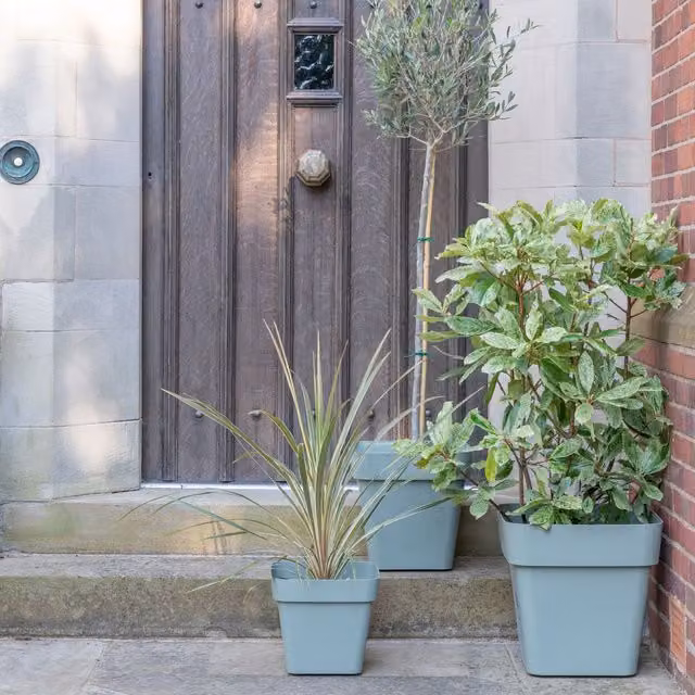 Ivyline Cleo Square Planter in Green with Wheels, Diameter: 40 cm