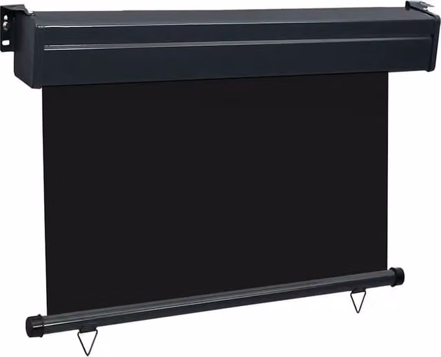 Berkfield Home Stylish Balcony Side Roller Awning in Black, W/H: 105 x 250 cm – 1