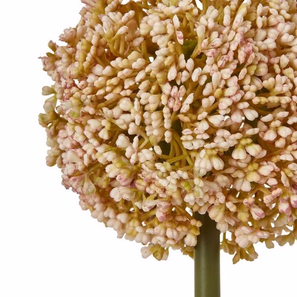 Hill Interiors Pink Allium Single Stem Plastic Flower, W11 x D11 x H75 cm – 2