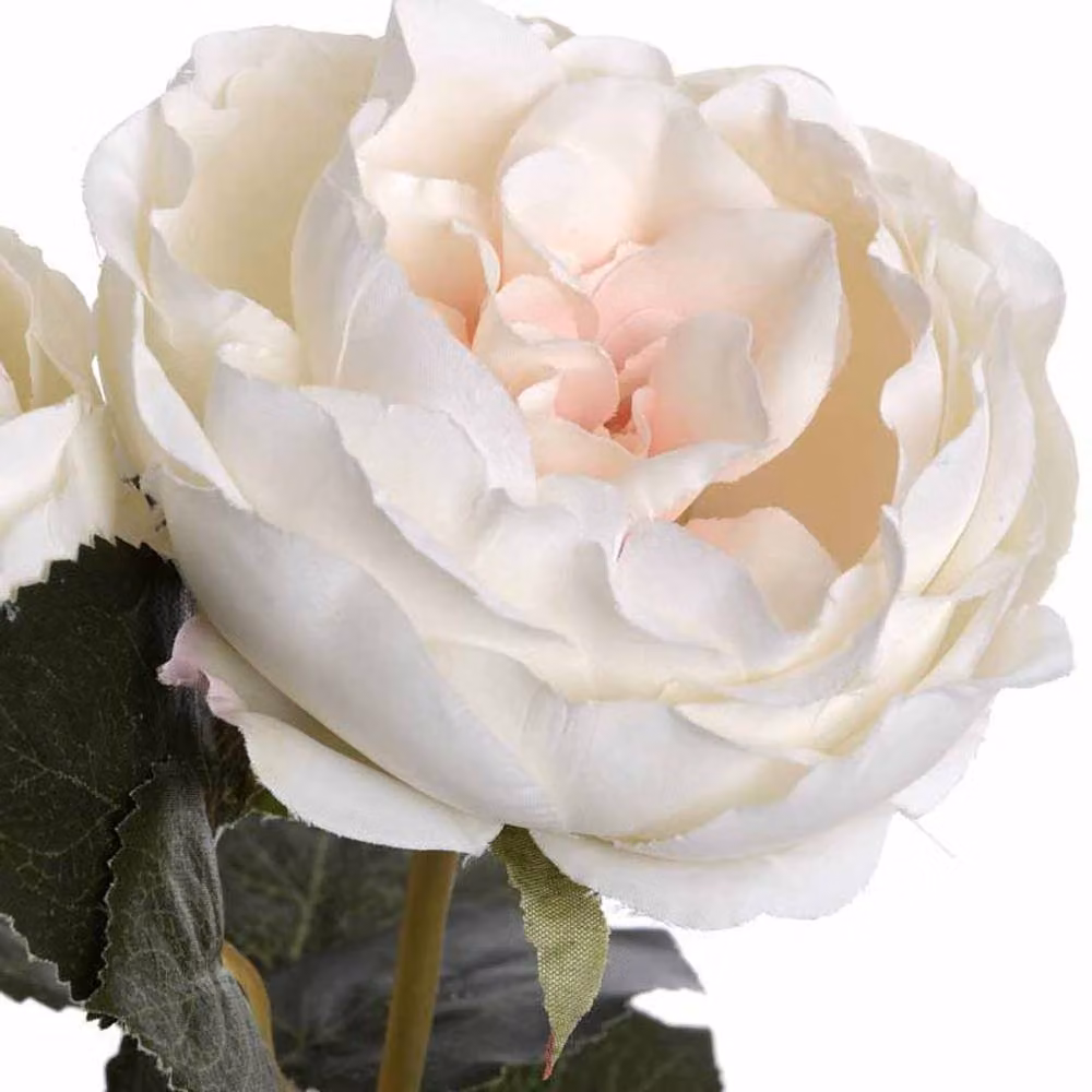 Lemon Pavilion Blush Garden Rose Artificial Flower in Pink and White, W: 9 cm, D: 9 cm, H: 64 cm – 3
