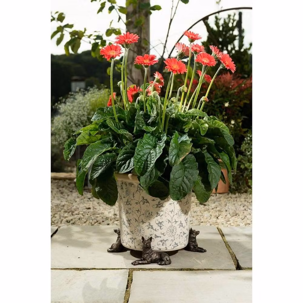 Jardinopia German Shepherd Plant Pot Feet, Set of 3, Bronze, W: 11.5 cm, D: 8 cm, H: 7.5 cm – 3