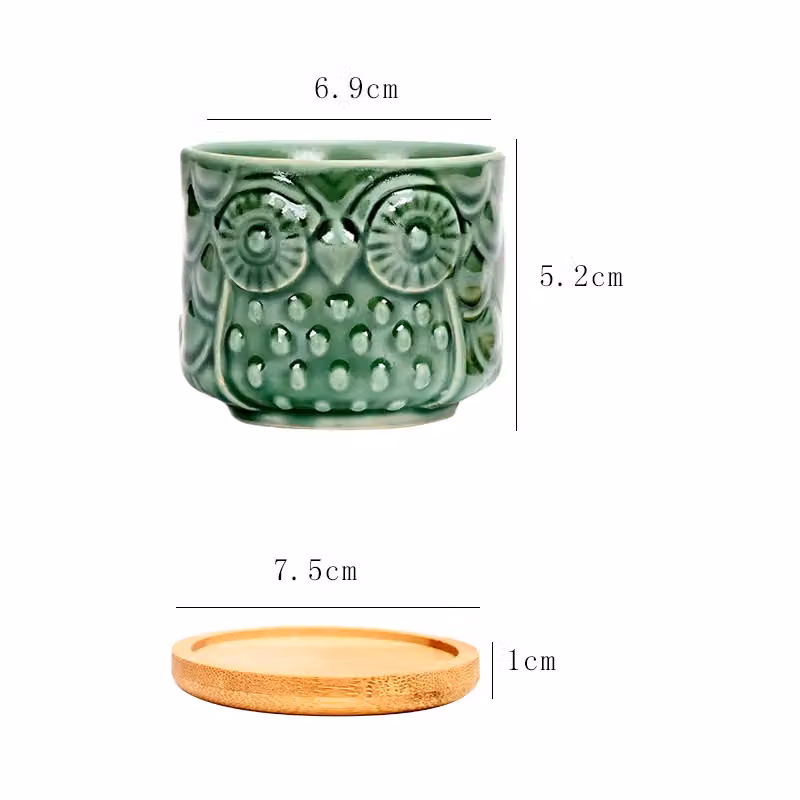 Simpa 6-Piece Multicolour Glazed Owl Ceramic Plant Pots with Bamboo Base – 3