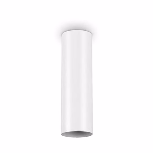 Netlighting Look White Surface Mounted Cylinder Ceiling Lamp with GU10 LED Bulb