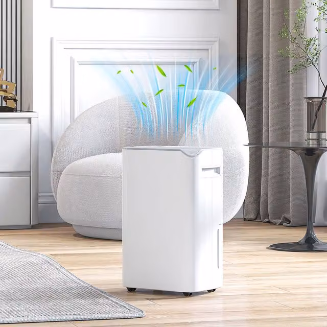 HOMCOM 20L Day Small Dehumidifier with Filter, White