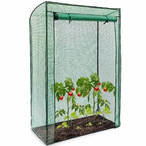 Faboer Green Freestanding Tomato Greenhouse with Reinforced Steel Frame and Plastic Cover – 1