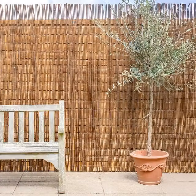 Primrose Woven Wood Privacy Screening Roll, Brown, H 180 cm x W 300 cm