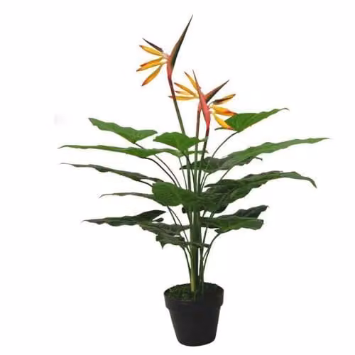 Leaf Design Orange Artificial Bird of Paradise Plant, Height: 70 cm – 1