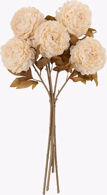 Perch & Parrow Beige Faux Peony Floral Stems, Set of 5