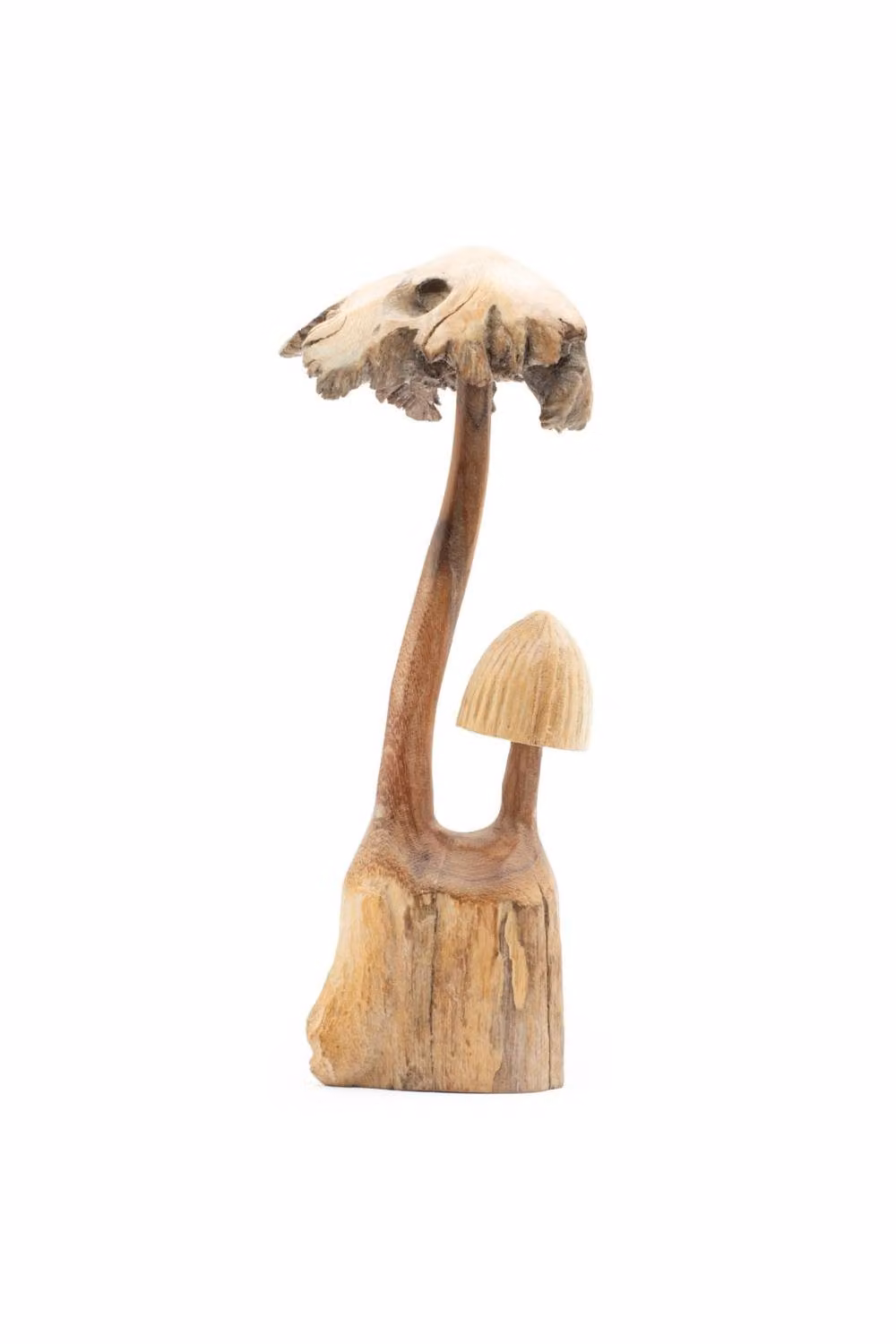 KDMD Set of Two Rustic Brown Parasite Wood Mushroom Carvings for Tabletop and Shelf Decor – 2