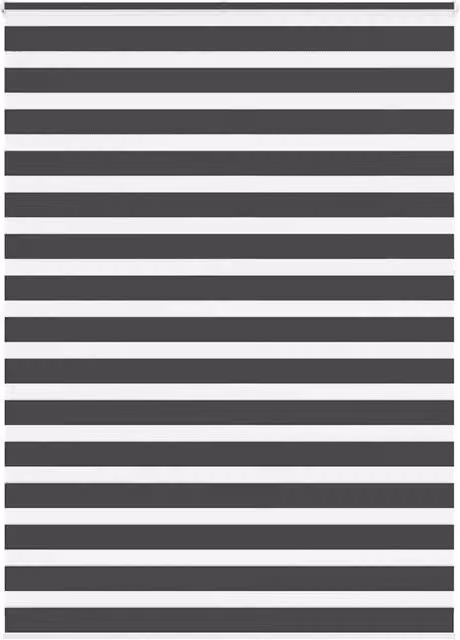 Berkfield Home Black Zebra Day and Night Blind, W: 165 cm, H: 230 cm – 1