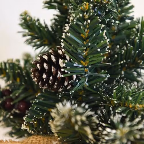 Thompson & Morgan Derby Artificial Green Christmas Tree with Pine Cones and Frost, Height: 30 cm – 3
