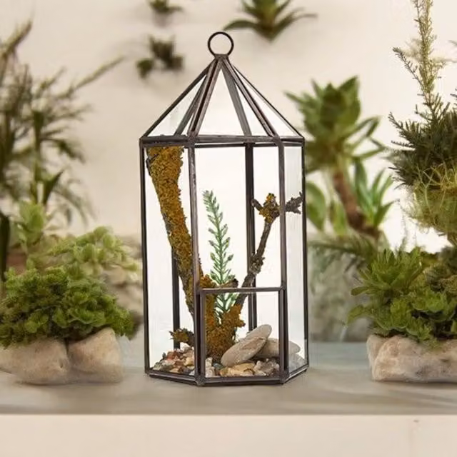 KDMK Geometric Glass and Metal Tabletop Lantern Terrarium for Succulents and Air Plants, Brown and Black, Rectangular