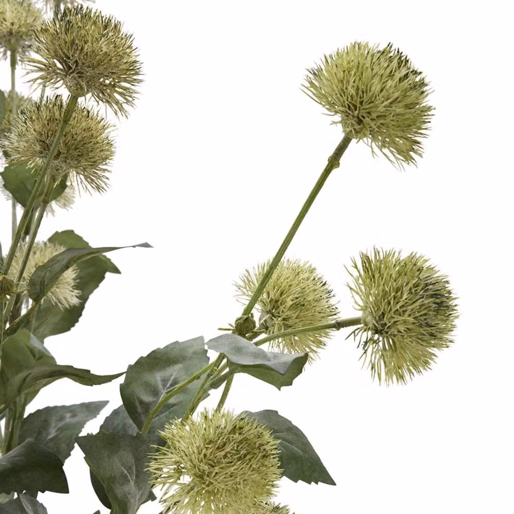 Lemon Pavilion Furniture and Decor Green Thistle Globe Stem Plastic W18 x D18 x H81 cm – 4