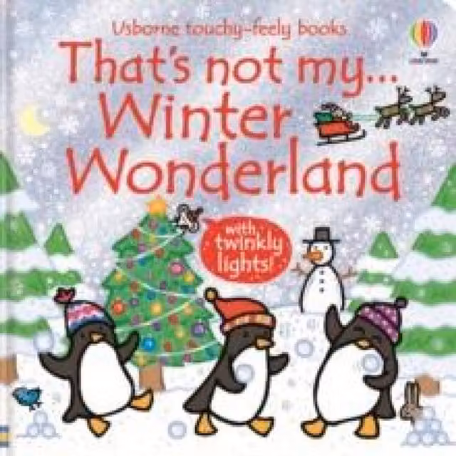 Fiona Watt That's Not My... Winter Wonderland Multicoloured Board Book