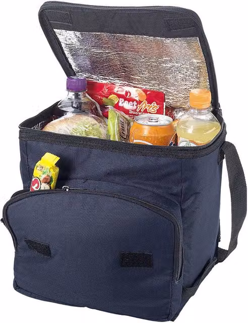 Bullet Stockholm Foldable Cooler Bag in Blue