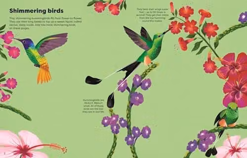 Usborne Shimmery Stickers Birds Big Sticker Book in Multicolour – 2
