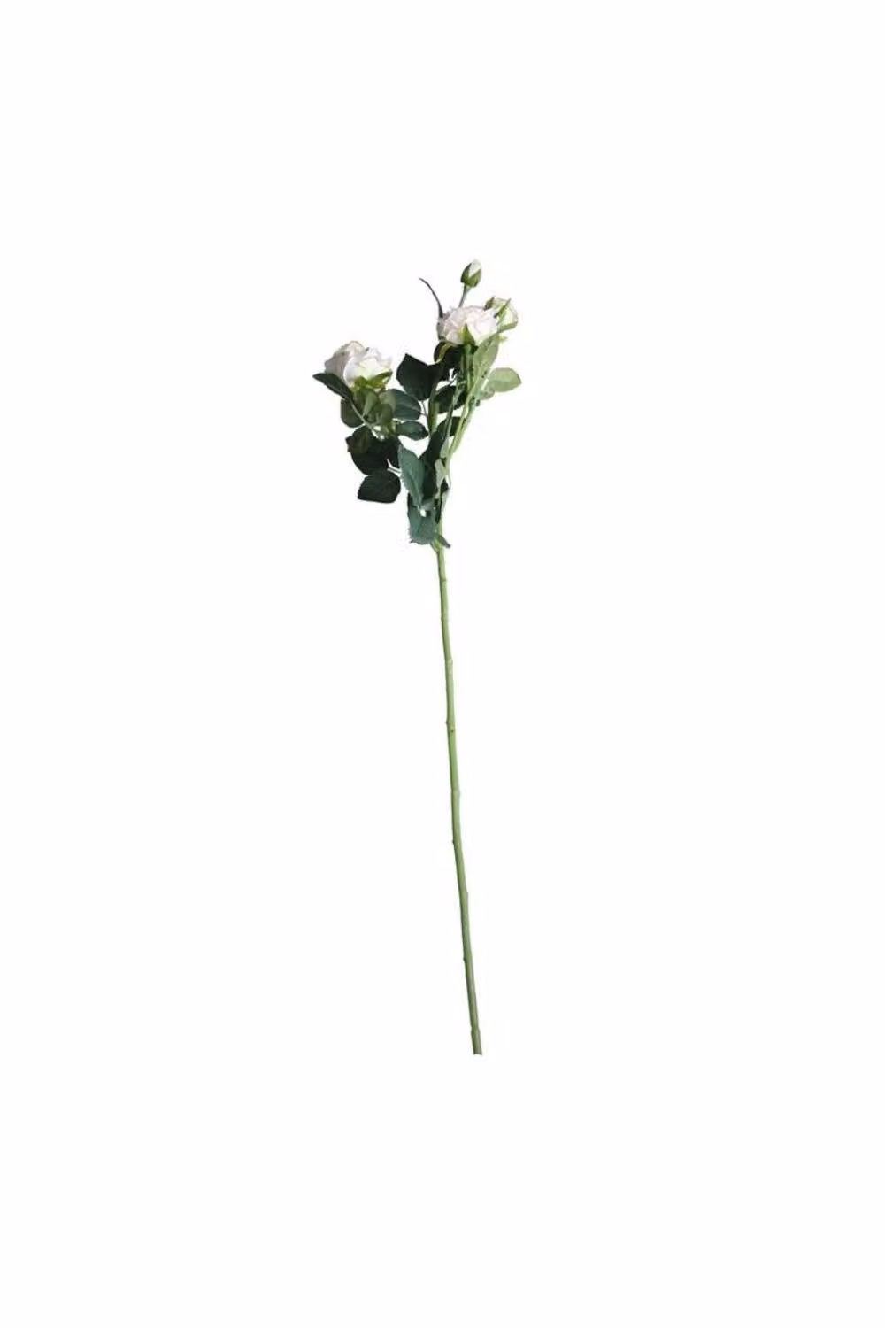 KDMD Camelot Garden Rose Spray in White, 2 Pack – 2