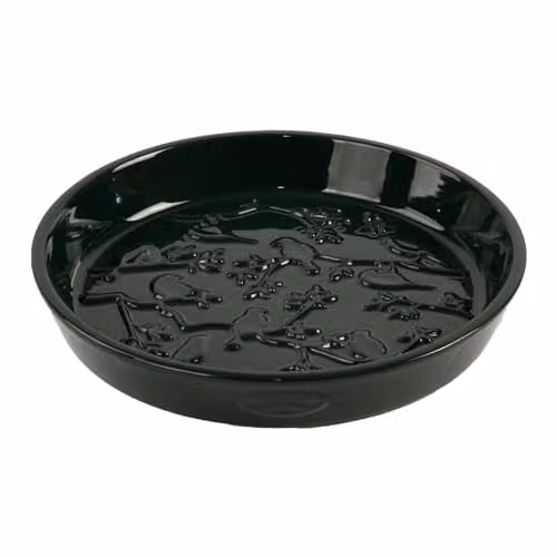 Pflanzen Kölle Ceramic Floral Bird Bath in Green, Diameter: 28 cm, Height: 5 cm