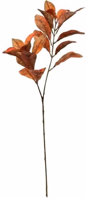 KDMD Glamis Croton Spray Orange Green Plant, 2 Pack, Height: 72 cm