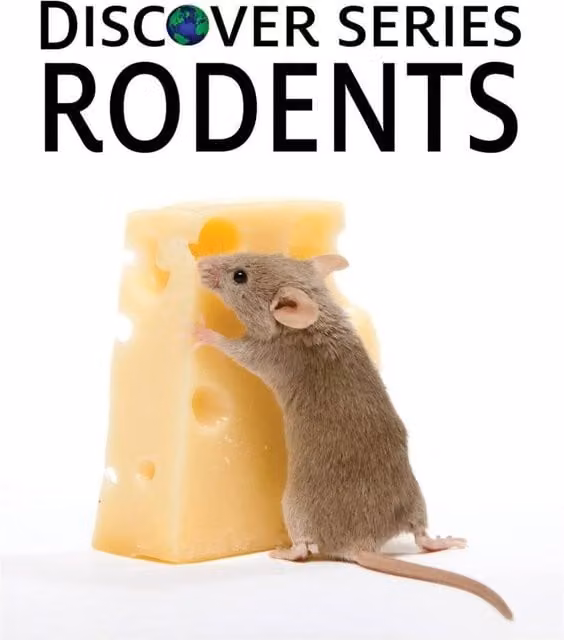 Xist Publishing Rodents Hardcover Multicolour Book