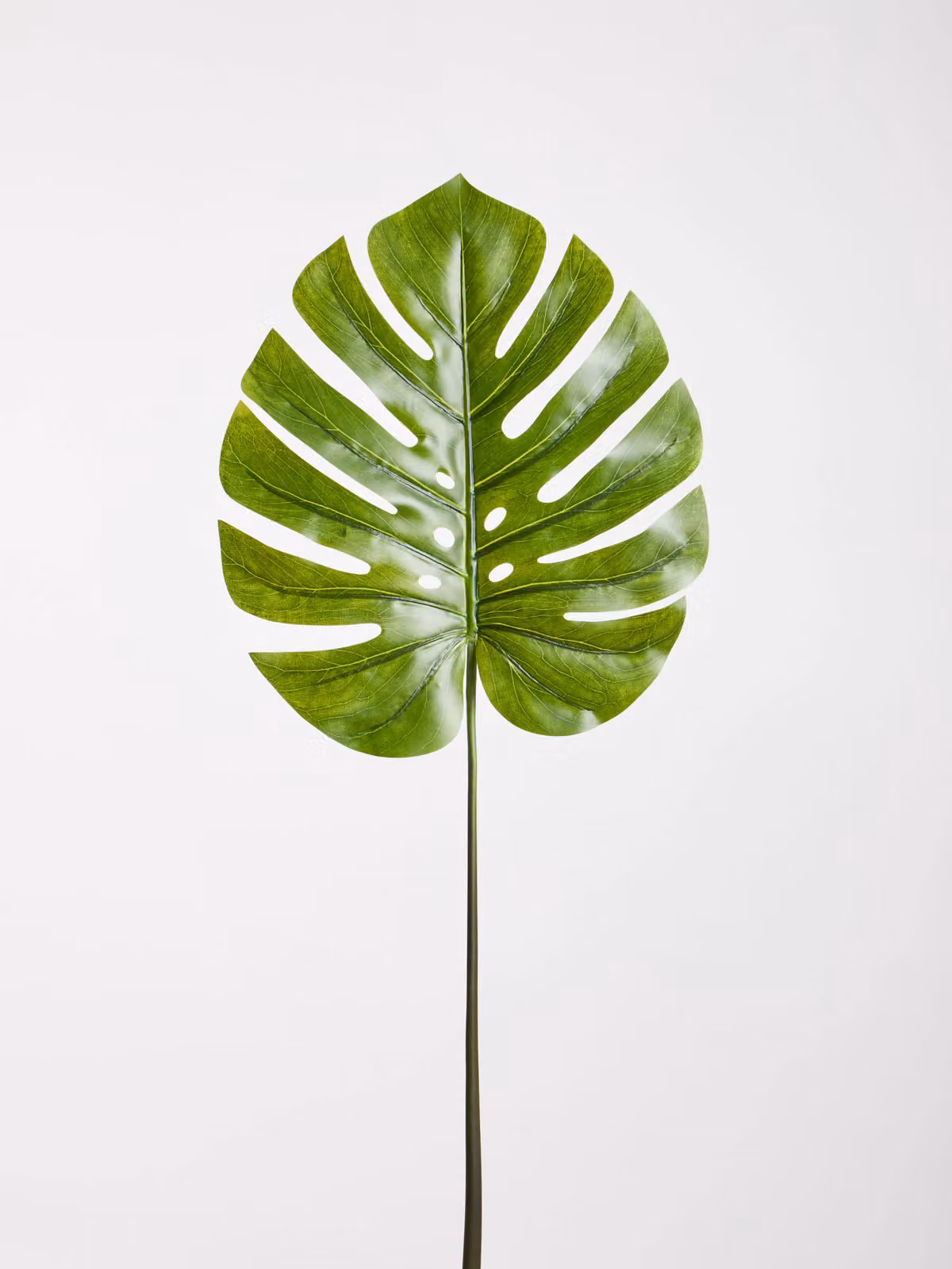 Orsina Green Monstera Palm Stem, Height: 109 cm – 4