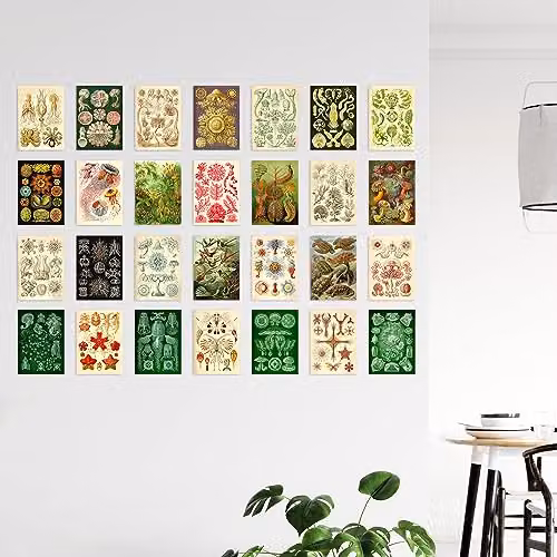 Artery8 50 Piece Botanical Haeckel Aesthetic Collage Kit Multicolour Wall Art Prints, W: 10.5 cm, H: 14.8 cm – 2